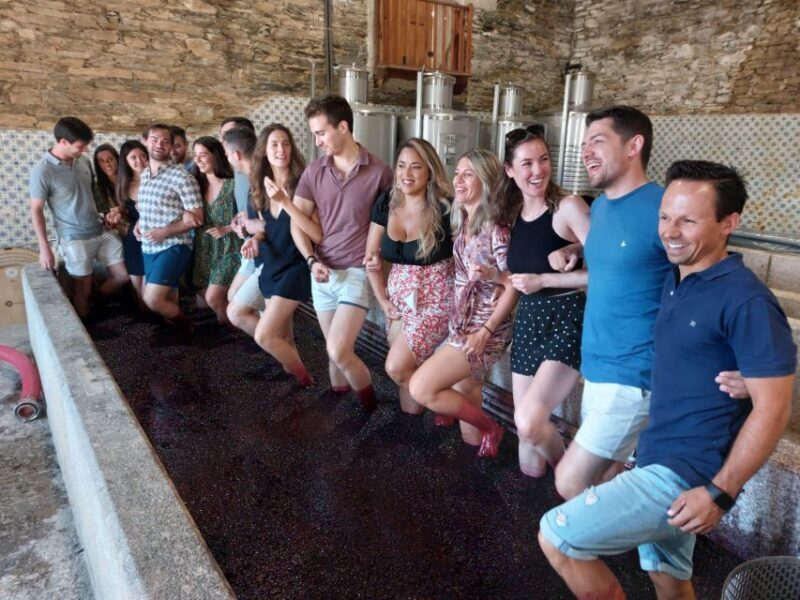 Douro Valley: (Pinhão) Quinta da Foz - Tour&Tasting 5 WINES - Quick overview: what to expect from this experience