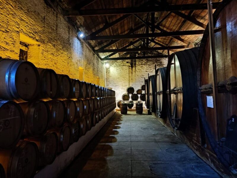 Douro Valley: (Pinhão) Quinta da Foz - Tour&Tasting 5 WINES - What makes this tour stand out