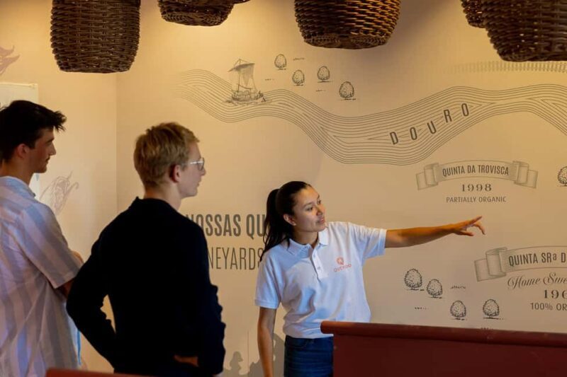 Douro Valley: Port & Cheese Tasting with a Local Wine Guide - An In-Depth Look at the Douro Port & Cheese Tasting Experience