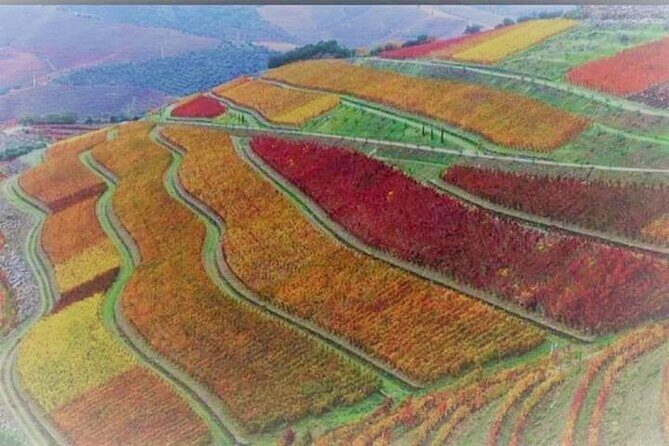Douro Valley Premium with wine tasting lunch and boat - Who Will Enjoy This Tour Most?