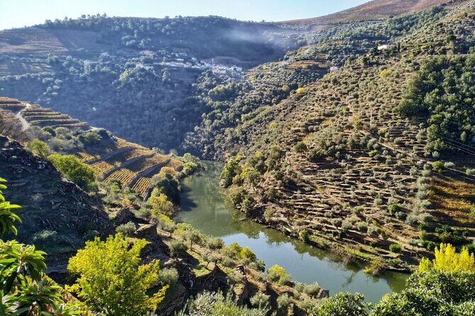 Douro Valley Prime Tour: Wine Tastings, Boat and Lunch from Porto - Who Would Enjoy This Tour?
