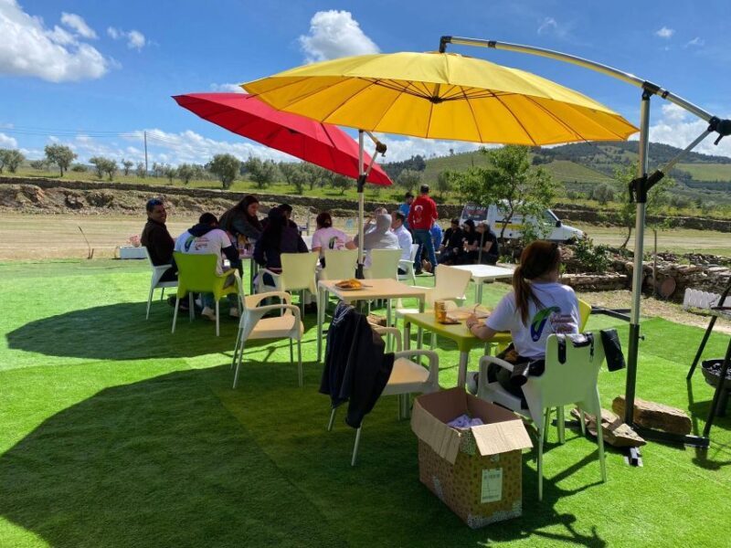Douro Valley: Private Airplane Tour Around the River Douro - Final Thoughts