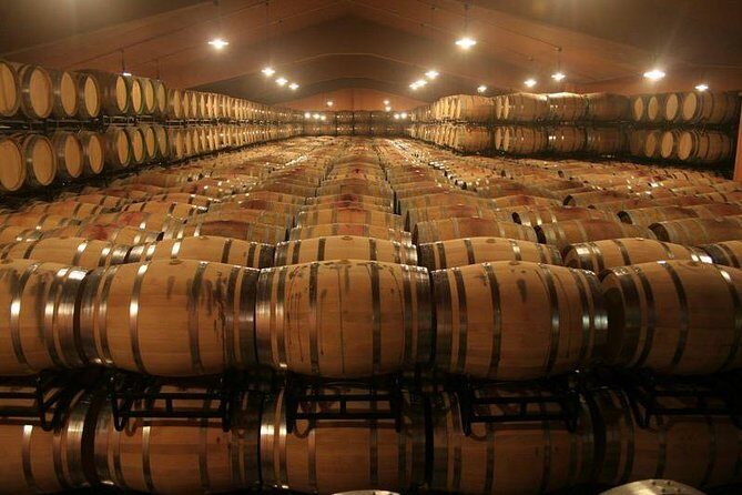 Douro Valley private day tour from Porto - A Detailed Look at the Douro Valley Private Day Tour