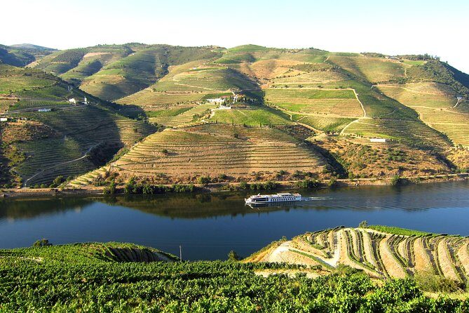 Douro Valley Private Full-Day Tour from Porto - An In-Depth Look at the Douro Valley Tour