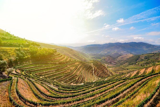 Douro Valley Private Full-Day Tour from Porto - Final Thoughts: Is This Tour for You?
