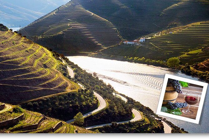 Douro Valley Private Premium Tour with Wine Tasting (1 to 4 people) - Authentic Experiences and Authentic Reviews