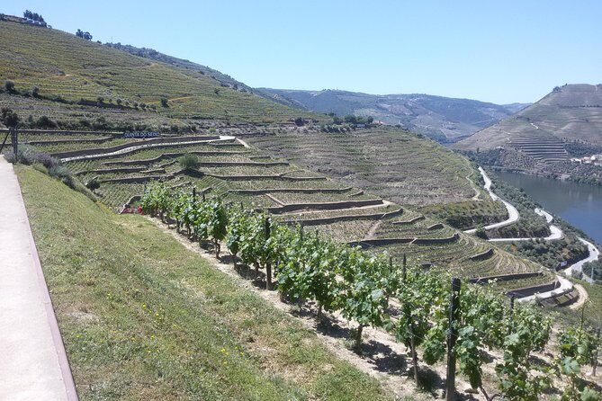 Douro Valley Private Premium Tour with Wine Tasting (1 to 4 people) - Who Should Book This Tour?
