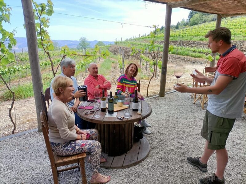 Douro Valley: Private Sommelier Tour with 3 Wineries & Lunch - Frequently Asked Questions (FAQs)