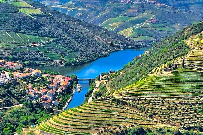 Douro Valley Private Tour: 2 Farms, Lunch & Boat Trip - Practical Tips and Final Considerations