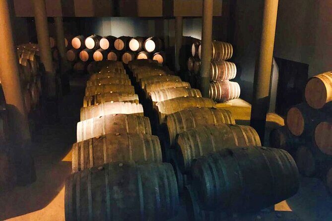 Douro Valley Private Tour: 2 Farms, Lunch & Boat Trip - Who Would Love This Tour?