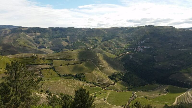 Douro Valley Private Tour - Quick Overview