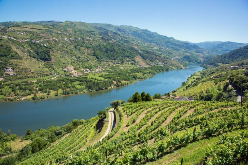 Douro Valley Private Tour - Who Should Consider This Tour?