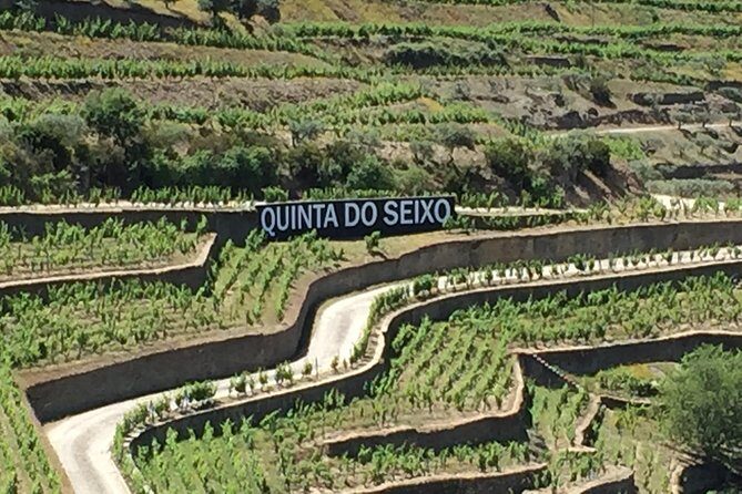 Douro Valley Private Tour from Oporto - Key Points