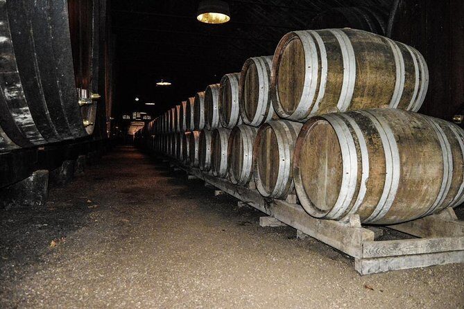 Douro Valley Private Tour from Oporto - Authentic Experiences and Practical Details