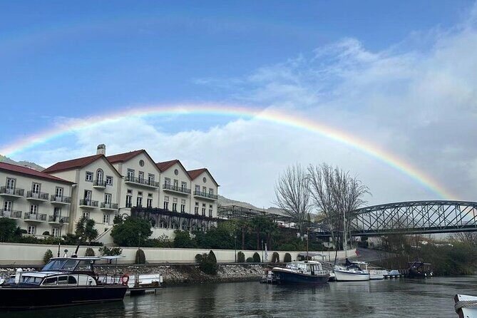 Douro Valley private tour full day - Discovering the Douro Valley: A Full-Day Private Tour from Porto