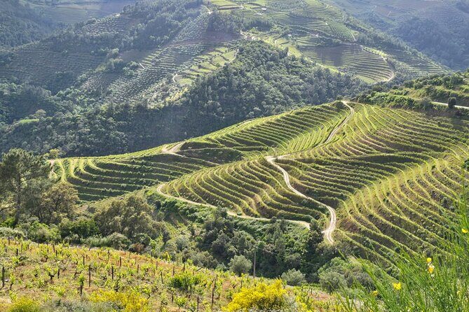Douro Valley private tour full day - Who Would Enjoy This Tour?
