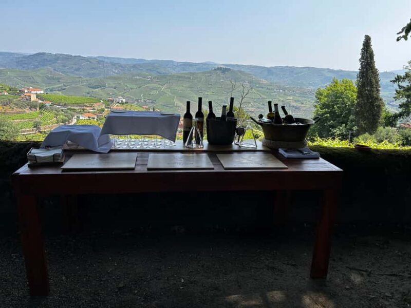Douro Valley: Private Tour & Guided Wine & Olive Oil Tasting - Key Points