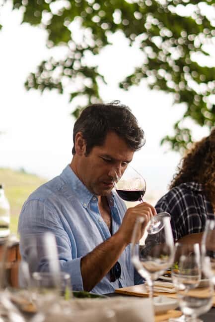 Douro Valley: Private Tour & Guided Wine & Olive Oil Tasting - Who Is This Tour Best Suited For?