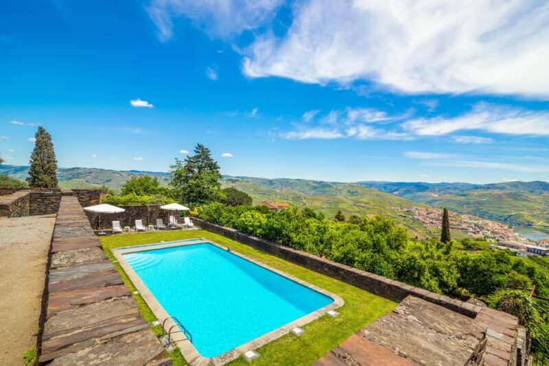 Douro Valley: Private Tour & Guided Wine & Olive Oil Tasting - Final Thoughts
