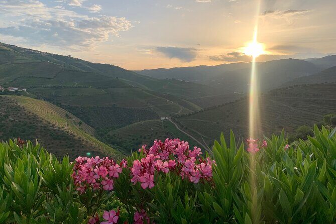 Douro Valley private tour includes wine tasting and boat trip - An In-Depth Look at the Douro Valley Private Tour