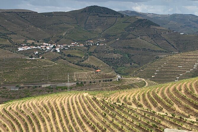 Douro Valley private tour includes wine tasting and boat trip - Frequently Asked Questions