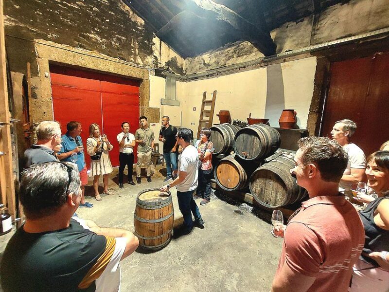 Douro Valley private tour & wine experience including lunch - Who Will Love This Douro Valley Tour?