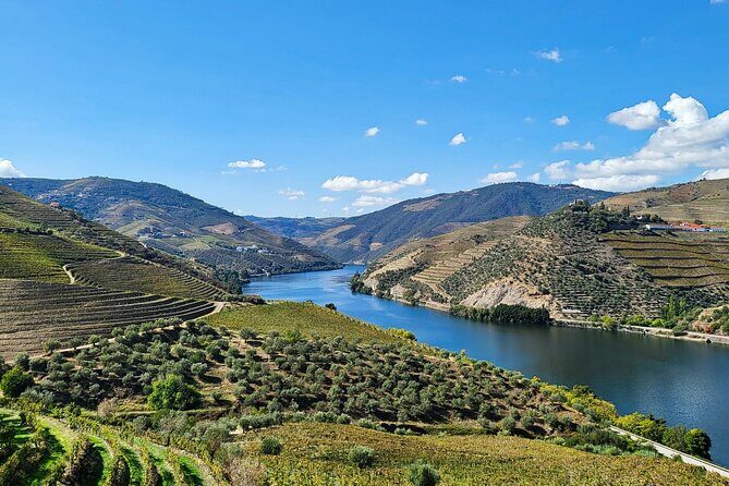 Douro Valley Private Tour (winery + boat + viewpoint) - Experience the Douro Valley with a Personal Touch