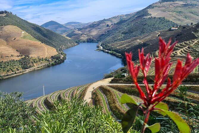 Douro Valley Private Tour (winery + boat + viewpoint) - Who Will Appreciate This Tour?