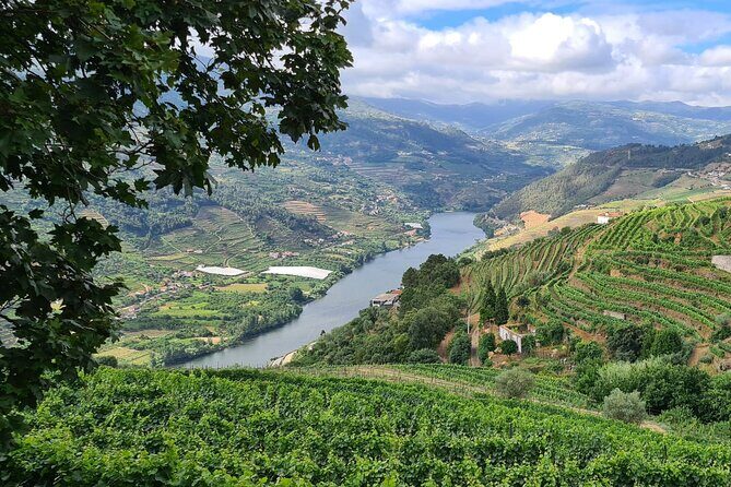 Douro Valley Private Tour (winery + boat + viewpoint) - Final Thoughts