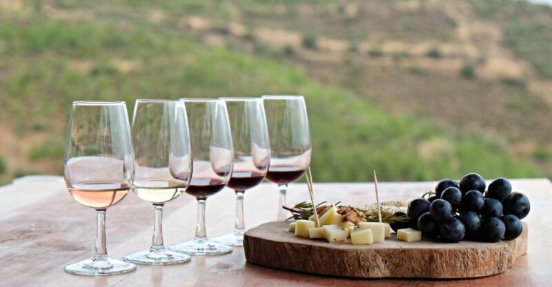 Douro Valley Private Tour with 2 wine tastings - Key Points