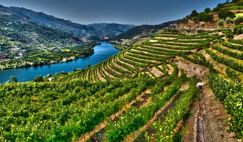 Douro Valley Private Tour with 2 wine tastings - FAQ