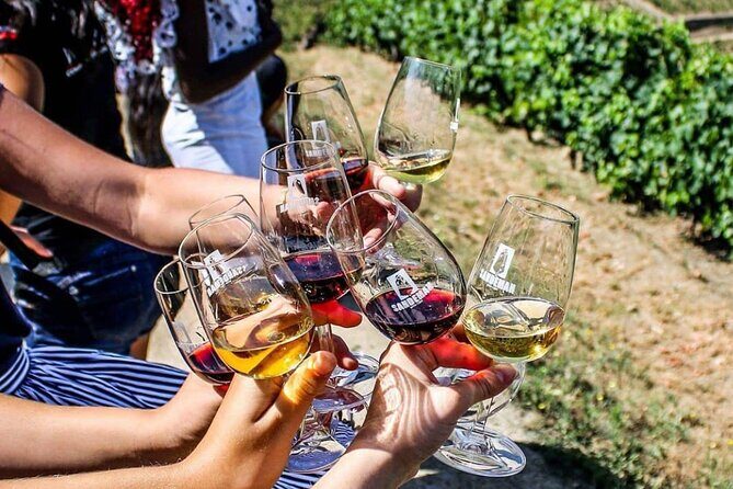 Douro Valley Private Tour with tasting included - Key Points