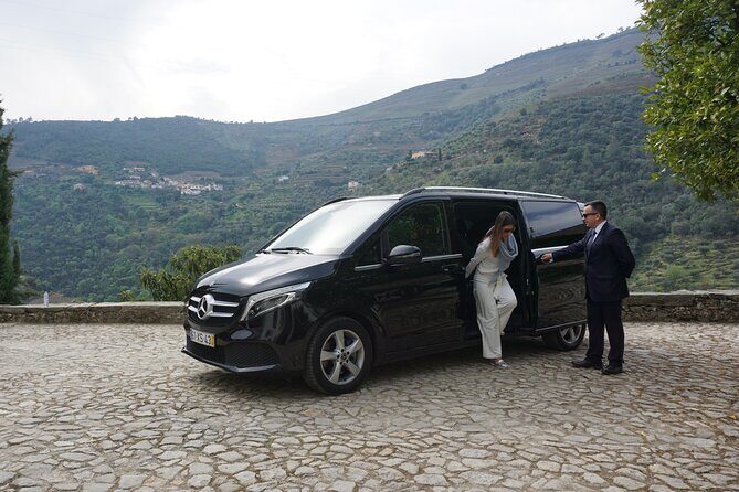 Douro Valley private tour with wine tasting and boat tour - What the reviews reveal about this tour