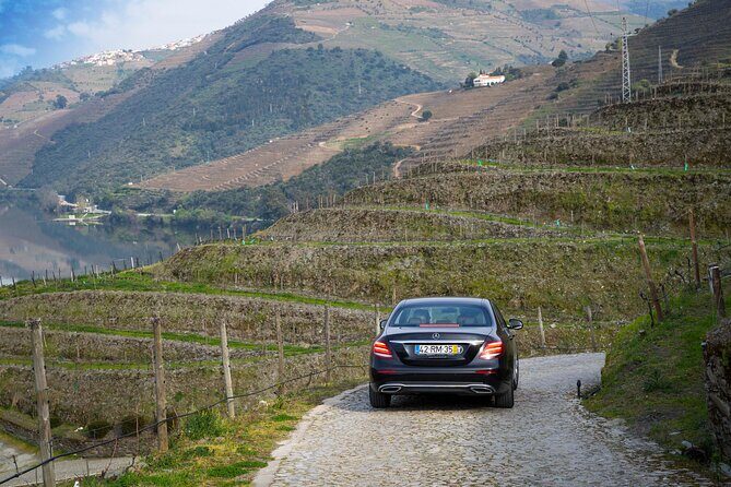 Douro Valley private tour with wine tasting and boat tour - Final thoughts: Is this the tour for you?
