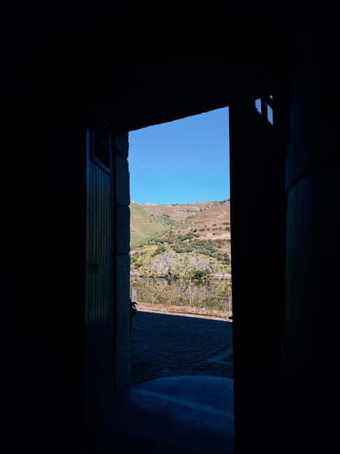 Douro Valley: PRIVATE TOURS with 1 Wine Tasting - Exploring Portugal’s Douro Valley: A Private Tour with Wine Tasting