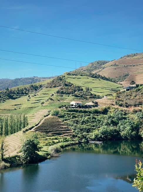 Douro Valley: PRIVATE TOURS with 1 Wine Tasting - What Makes This Tour Stand Out?