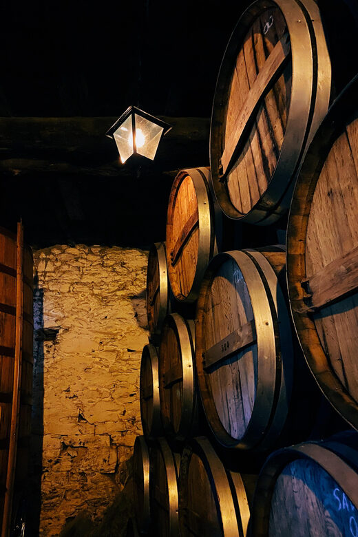 Douro Valley: PRIVATE TOURS with 1 Wine Tasting - Who Should Consider This Tour?