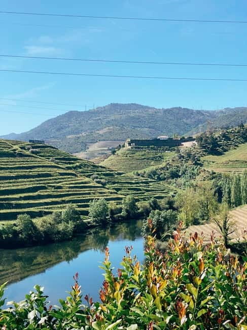 Douro Valley: PRIVATE TOURS with 1 Wine Tasting - Final Thoughts