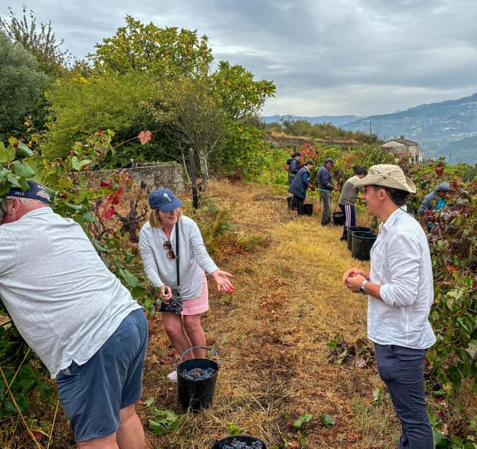 Douro Valley: Private Wine & Food Tour Away from Crowds - FAQ