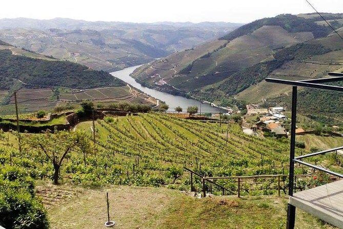 Douro Valley Private Wine Tour from Lisbon - Who Will Love This Tour?