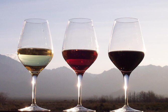 Douro Valley Private Wine Tour From Porto - Summary: Who Should Consider This Tour?