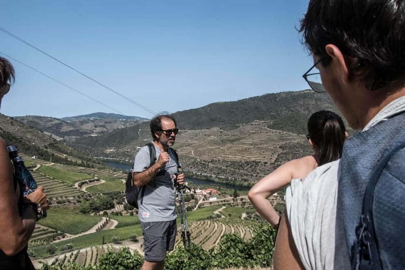 Douro Valley: Provesende and São Cristóvão Guided Hike - The Journey Through the Douro Valley