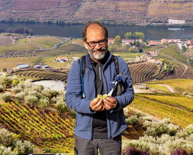 Douro Valley: Provesende and São Cristóvão Guided Hike - Practical Considerations and Tips