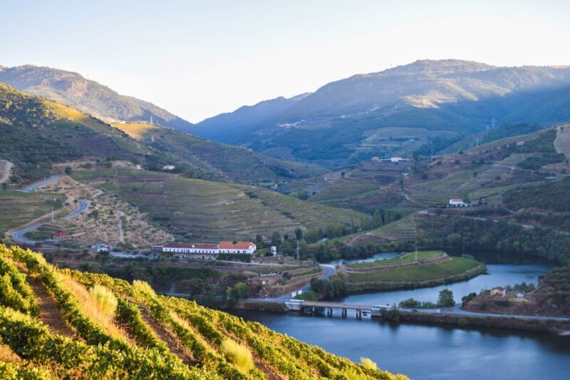 Douro Valley: Quinta do Tedo Wine Experience with Picnic - Exploring the Douro Valley: Quinta do Tedo Wine Experience with Picnic