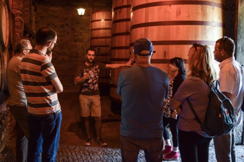 Douro Valley: Quinta do Tedo Wine Experience with Picnic - Key Points