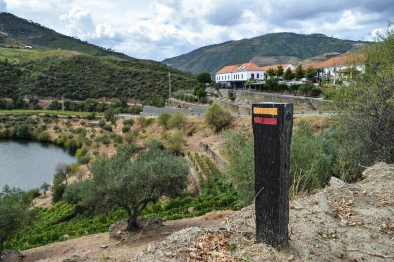 Douro Valley: Quinta do Tedo Wine Experience with Picnic - Why This Tour Offers Value