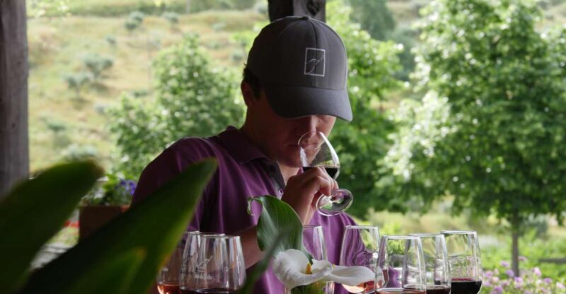 Douro Valley: Quinta do Tedo Winery Tour and Tasting - A Closer Look at the Quinta do Tedo Winery Tour and Tasting