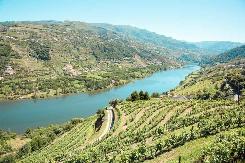 Douro Valley: Real Small-Group, Wine Tasting, Lunch & Boat - Who Should Book This Tour?