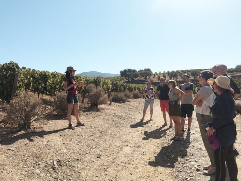 Douro Valley: Real Small-Group, Wine Tasting, Lunch & Boat - FAQs