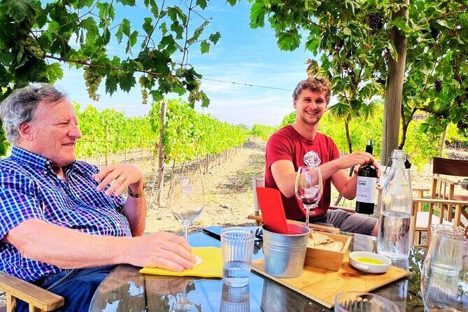 Douro Valley Small-Group Tour: 2 Wineries, Lunch, Optional Cruise - The Scenic Drive and Small-Group Experience